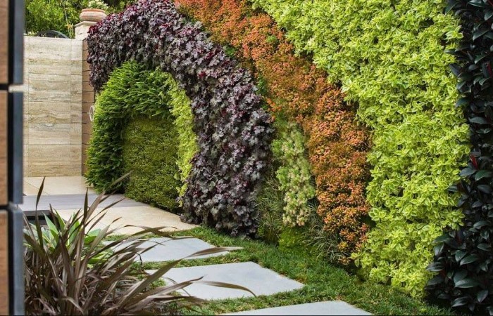 Вертикальное озеленение