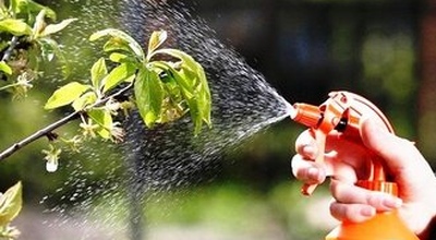 Природні способи боротьби зі шкідниками