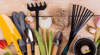 10 необхідних садових інструментів для початківця